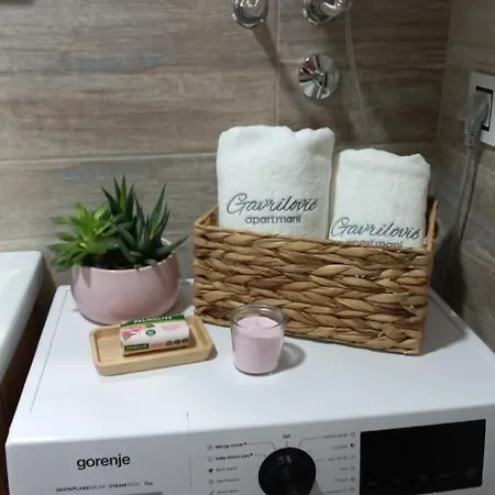 Apartament Gavrilovic
