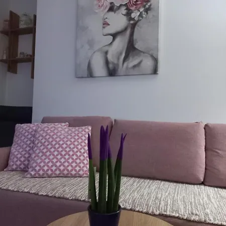 Gavrilovic Apartment Zlatibor