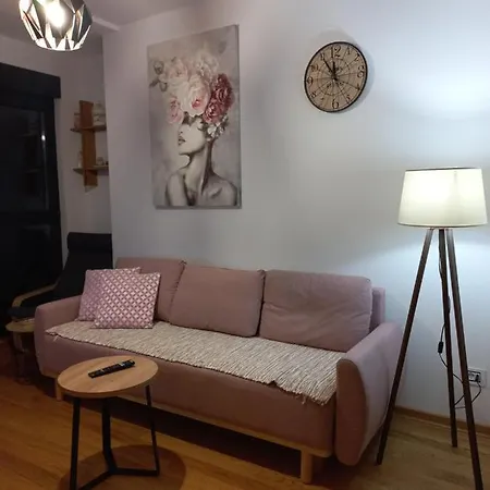 Gavrilovic Apartment Zlatibor