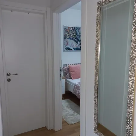 Gavrilovic * 兹拉蒂博尔