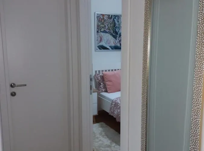 Gavrilovic * ズラティボール